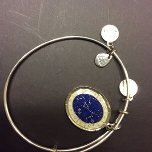 Alex and Ani charm bracelet